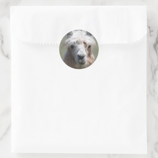 Llama Runder Aufkleber (Tasche)