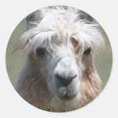 Llama Runder Aufkleber (Vorderseite)