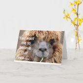 LLAMA SAGT KEINERLEI WEISE, DASS SIE *55* GEBURTST KARTE (Gelbe Blume)