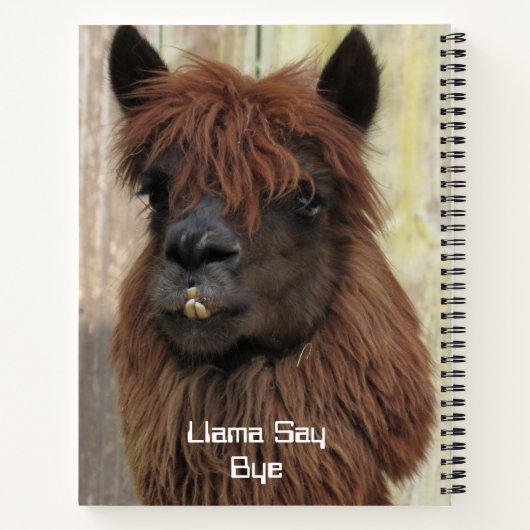 Llama Say Namaste Notebook - 2 Fotos - Front/Back Notizblock (Rückseite)