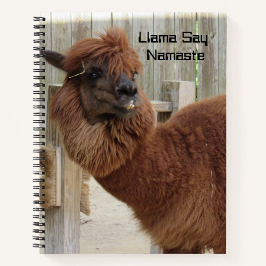 Llama Say Namaste Notebook - 2 Fotos - Front/Back Notizblock (Vorderseite)