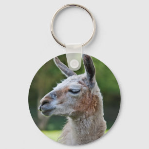 Llama-Schlüsselanhänger Schlüsselanhänger