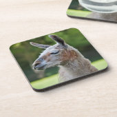 Llama-Set von 6 Untersetzer (Linke Seite)