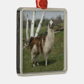LLAMA SILBERNES ORNAMENT (Rechts)
