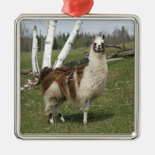 LLAMA SILBERNES ORNAMENT