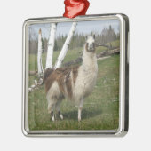 LLAMA SILBERNES ORNAMENT (Links)
