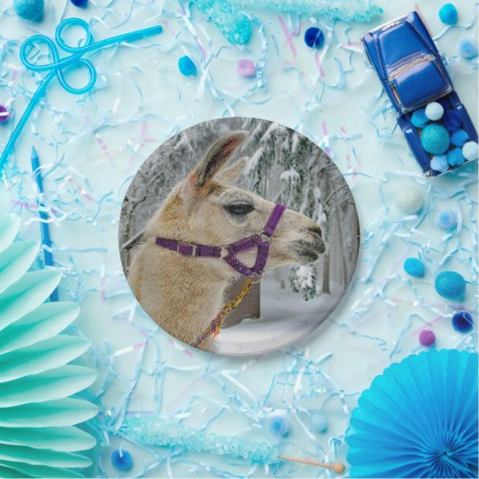 Llama Snow Foto Pappteller (Party)