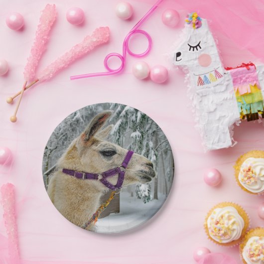 Llama Snow Foto Pappteller (Party)