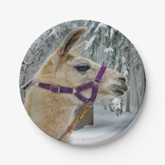 Llama Snow Foto Pappteller (Vorderseite)