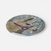 Llama Snow Foto Pappteller (Schrägansicht)