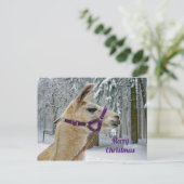 Llama Snow Foto Weihnachten Postkarte (Stehend Vorderseite)