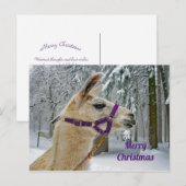 Llama Snow Foto Weihnachten Postkarte (Vorne/Hinten)