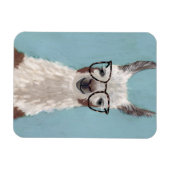 Llama Specs - Oversized Glasses Magnet (Horizontal)