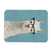 Llama Specs - Platz Magnet (Horizontal)