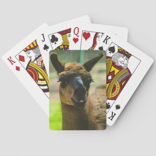 Llama Spielkarten (Rückseite)
