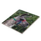 Llama-Überlegenheit Fliese (Seite)