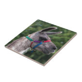 Llama-Überlegenheit Fliese (Seite)