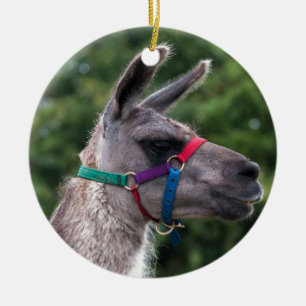 Llama-Überlegenheit Keramik Ornament