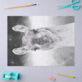 Llama Watercolor Seidenpapier (Basteln)