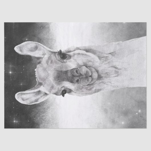 Llama Watercolor Seidenpapier (Vorderseite)