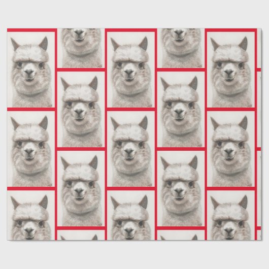 Llama Watercolor Wrapping Paper Alpaca lächelt Geschenkpapier (Flach)