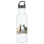 Llama-Wiesenwasserflasche Edelstahlflasche (Vorderseite)