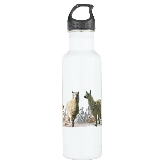 Llama-Wiesenwasserflasche Edelstahlflasche (Vorderseite)