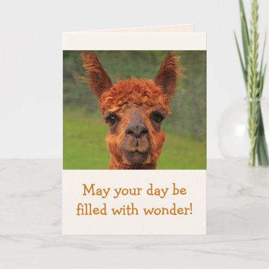 Llama Wonder Birthday Karte (Vorderseite)