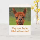 Llama Wonder Birthday Karte (Gelbe Blume)