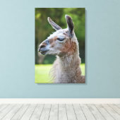 Llama Wrapped Canvas Print Leinwanddruck (Insitu (Holzboden))