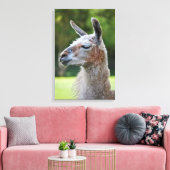 Llama Wrapped Canvas Print Leinwanddruck (Insitu (Wohnzimmer))