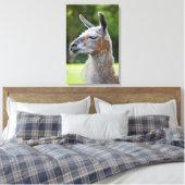 Llama Wrapped Canvas Print Leinwanddruck (Insitu (Schlafzimmer))