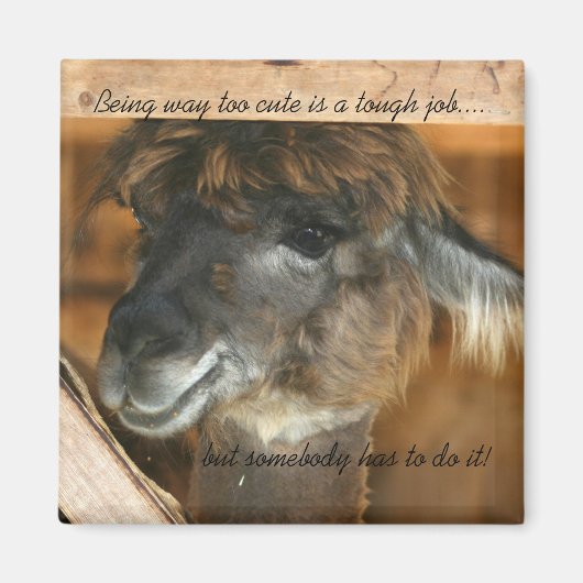 Llama zu Niedliches Funny Animal Magnet (Vorne)