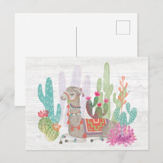 Llamas I Postkarte (Vorne/Hinten)