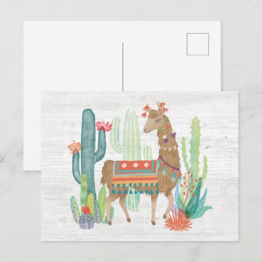 Llamas III Postkarte (Vorne/Hinten)
