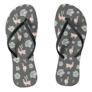 Llamas in der Wüste mit Kakteen und Amaryllis Badesandalen