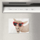 Llamas in Shades: Februar Magnet 3.5"x2.5" (In Situ (Geschirrspüler))