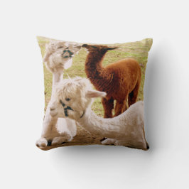 Llamas mit Baby Cria Cushion Kissen