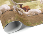 Llamas mit Baby Cria Geschenkpapier (Rolleneckpunkt)