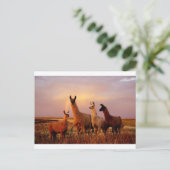 Llamas mit Regenbogenhimmel Postkarte (Stehend Vorderseite)