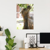 Llamas Poster (Heimbüro)