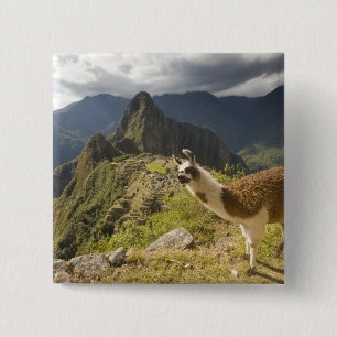 Llamas und ein Ausblick auf Machu Picchu, Button