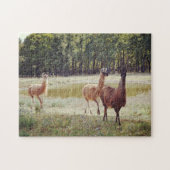 Llamas von einem Puzzle (Horizontal)