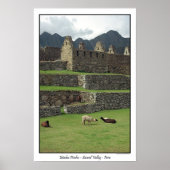 Llamas von Machu Picchu Peru Poster (Vorne)