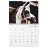 Llamas Wall Calendar Kalender (Jan 2027)