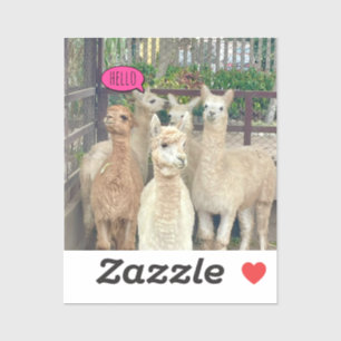 Llamas zum Party auf einem Aufkleber oder Aufklebe