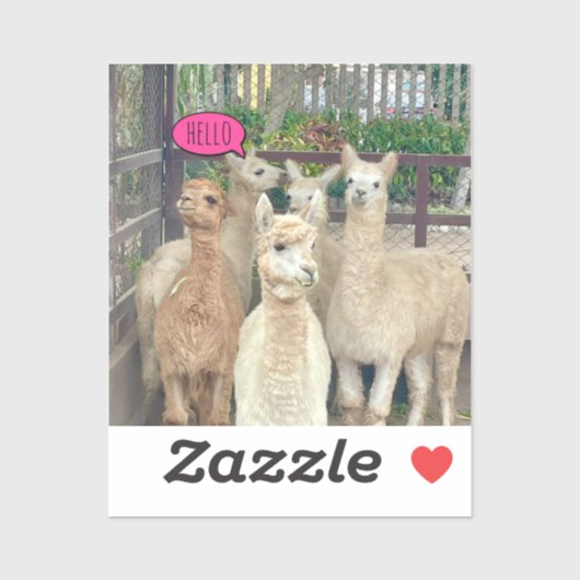 Llamas zum Party auf einem Aufkleber oder Aufklebe (Blatt)