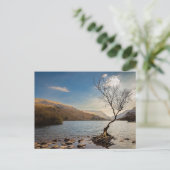 Llanberis, Wales Postkarte (Stehend Vorderseite)