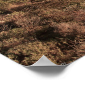 Llandudno Beach: Kapstadtküste Sonnenuntergang Poster (Ecke)