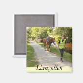 Llangollen Magnet (Vorderseite/Rückseite)